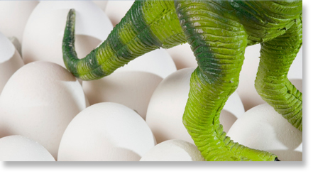 Photo of dinosaur and eggs